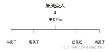 聚力農產品上行，太仆寺旗電商銷售品牌策劃服務全旗 經營電子商務